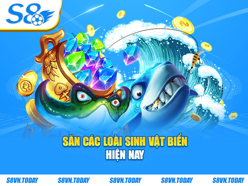 Săn các loài sinh vật biển hiện nay
